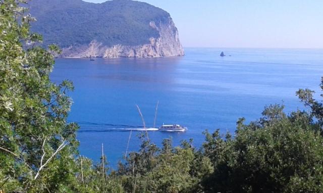 Family Apartment Garden And Sea Petrovac Εξωτερικό φωτογραφία